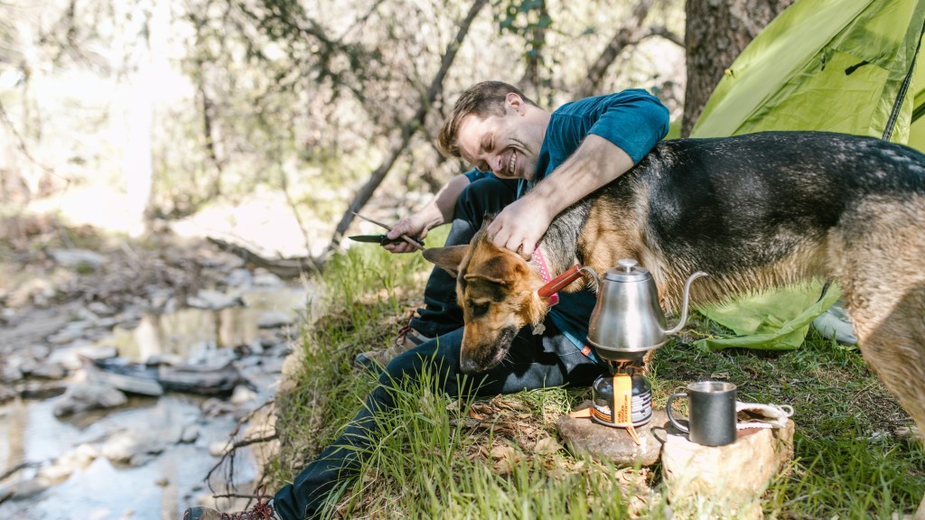 Tips for Camping with Your Dog 6 Tips for Camping with Your Dog