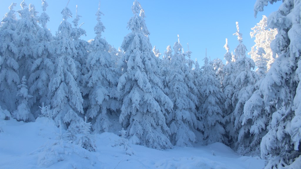 3 Conditions To Watch Out For While Outdoors During the Winter 1 3 Conditions To Watch Out For While Outdoors During the Winter