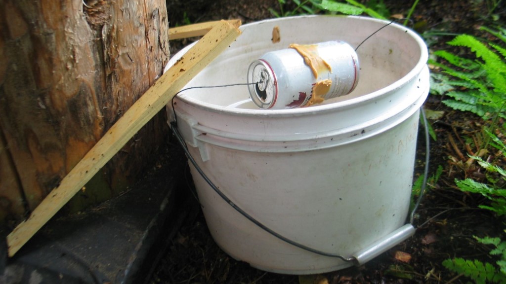 Building Mouse Traps For Survival 1 DIY Mouse Traps For Survival Bucket