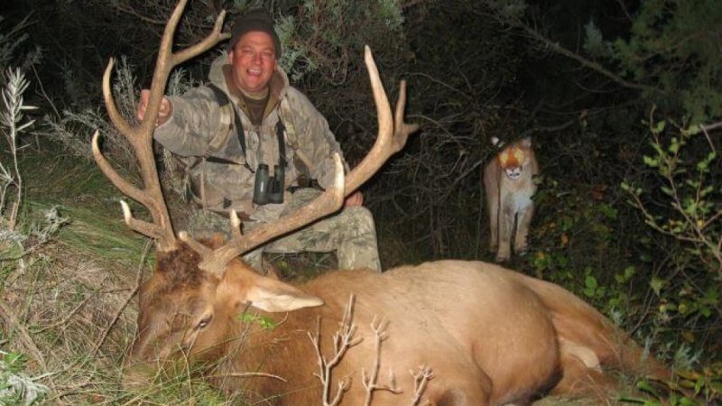 The Cooper Color Codes - Judging Your Situational Awareness 7 Cooper Color Code Hunter