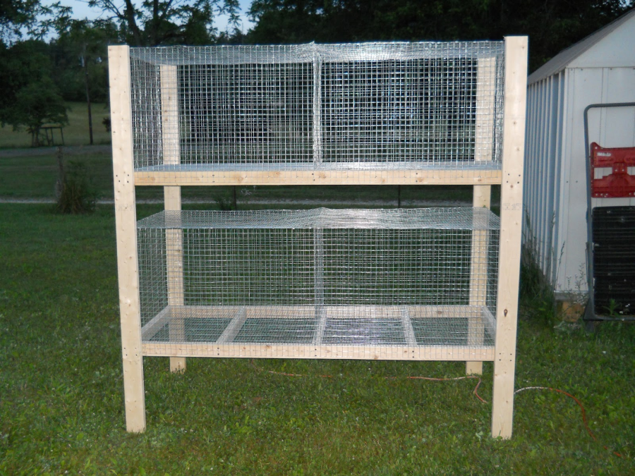 Inbreeding And Line Breeding Rabbits 4 Line Breeding And Inbreeding Rabbits Cage