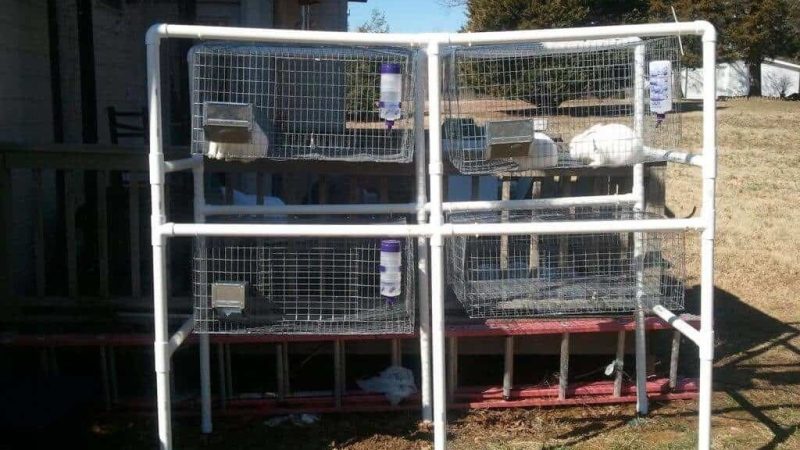PVC Rabbit Hutch Plans - How to Build a PVC Rabbit Hutch 4 PVC Rabbit Hutch Build
