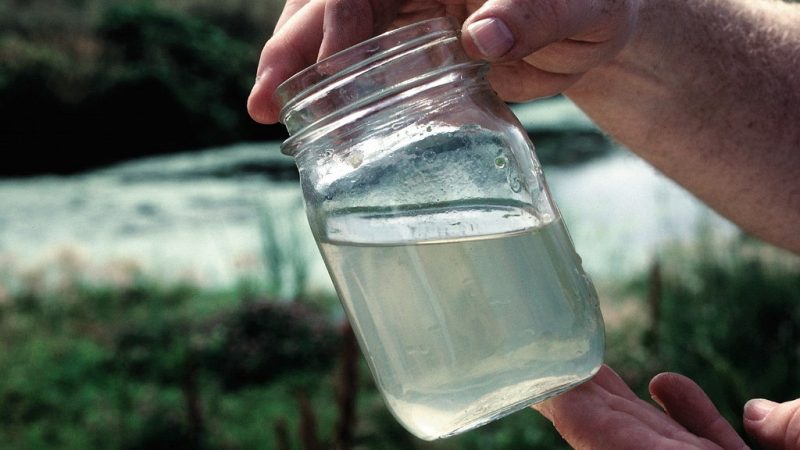 The Homesteader’s Guide to Purifying Water 7 Purifying Water Jar