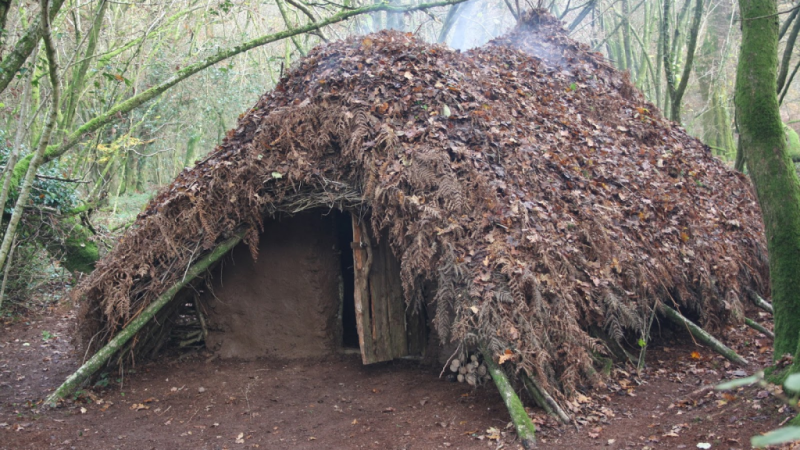 Survival Shelter Basics