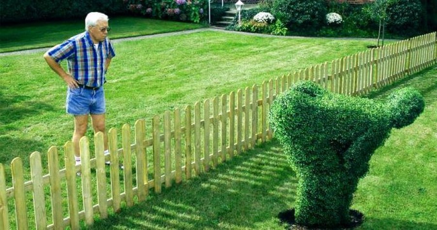 Top 10 Tips For Urban Homesteading 3 Urban Homestead Tips Not What You Want To See 1