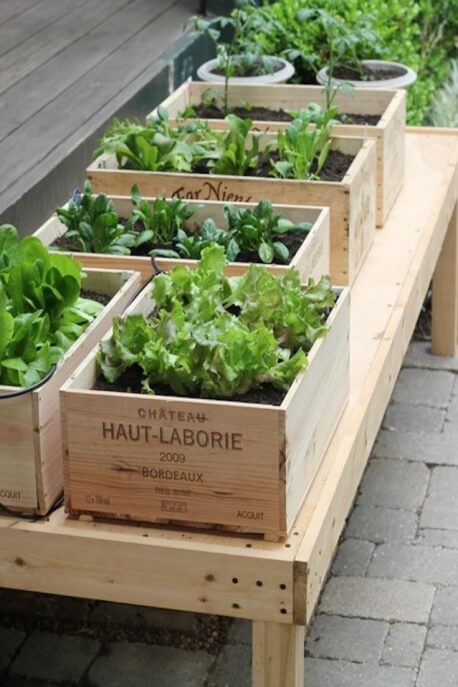 Top 10 Tips For Urban Homesteading 4 Urban Homesteading Tips Garden 1